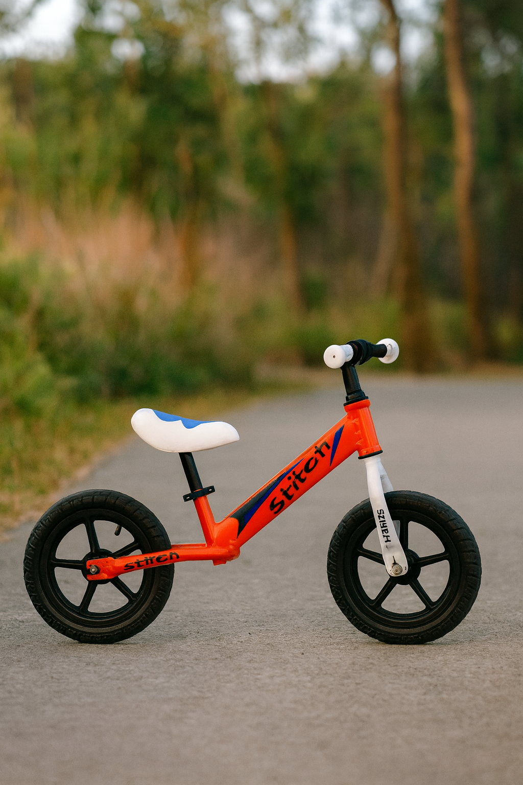Bicicleta EQUILIBRIO! Primeros pasos 🦁