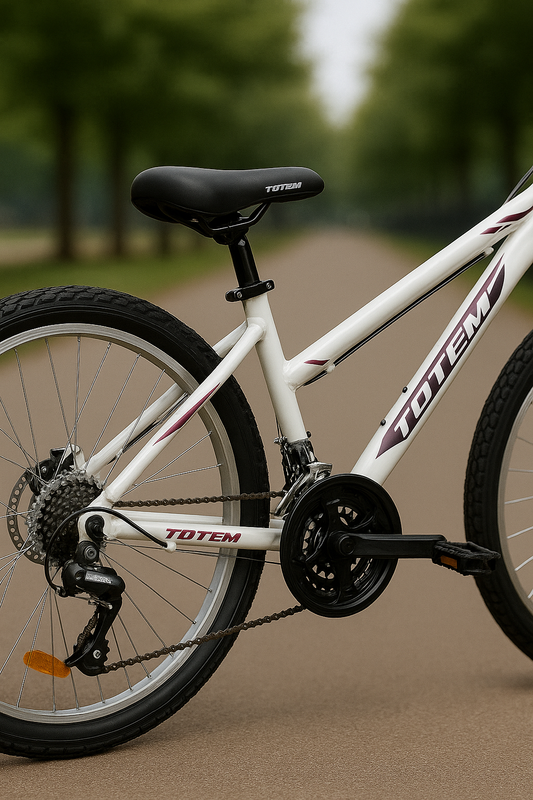 Bicicleta MTB R26 🔥 - 18 velocidades y Frenos de disco