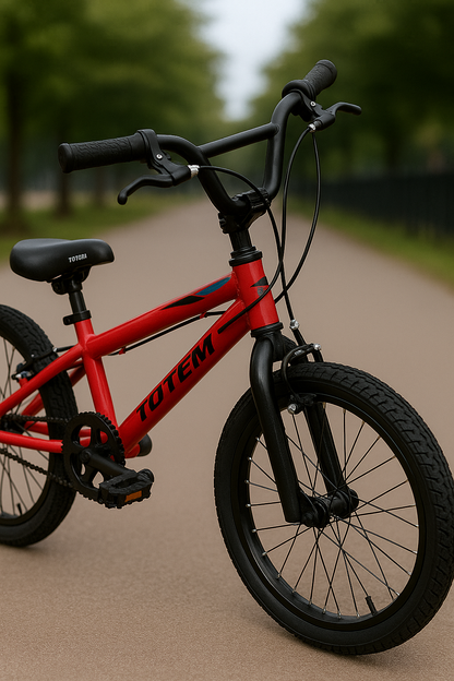 🚴‍♀️🛹 Bicicleta BMX Rodado 20