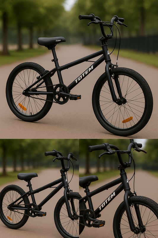 🚴‍♀️🛹 Bicicleta BMX Rodado 20