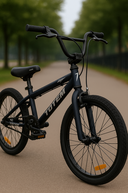 🚴‍♀️🛹 Bicicleta BMX Rodado 20