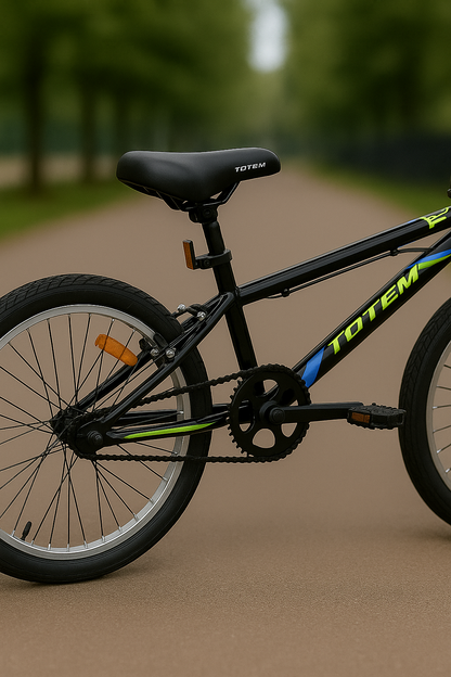 🚴‍♀️🛹 Bicicleta BMX Rodado 20